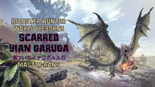 Monster Hunter World Iceborne: Scarred Yian Garuga (傷ついたイャンガルルガ) Master Rank.