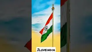 flag 🎖️whatsapp dp flag🇮🇳 india har ghar tiranga 🇮🇳 #indianflag #trendingstatus #shorts ✌️ love