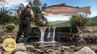 TROUT fishing | SPINNING nei TORRENTI della SICILIA
