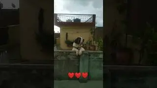 today's morning weather