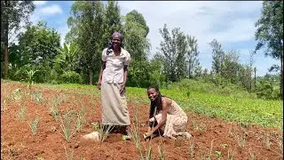 Slow Countryside Life 🏡| Gardening with Grandma 👩🏾&zwj;🌾🌾| Embarkig on my Small Kitchen Garden Journey
