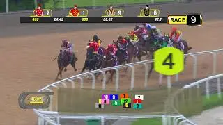 New Year Cup 2018 (Speedy Dragon)