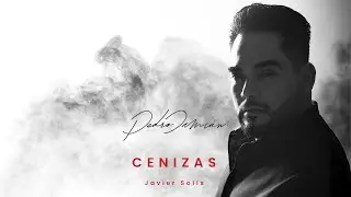 Cenizas  - KARAOKE al estilo Pedro Damián