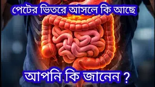 পেটের ভিতরে আসলে কী কী আছে? | Science & Islam Bangla