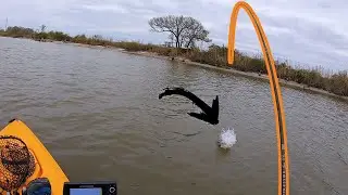 This Was Unexpected! Fishing a Massive River (NEW SPOT)