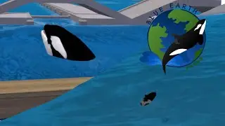 Update on the rescued orca and Seamore's calf!! -Blue Earth Aquariums- (Zoo tycoon 2)