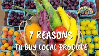 7 Reasons To Buy Local Produce
