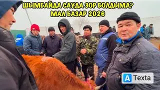 15-ФЕВРАЛЬ/2026/ШЫМБАЙ МАЛ БАЗАРЫ/МАЛ БАЗАР 2026/ДЕМ БЕРМЕС МАЛ БАЗАР