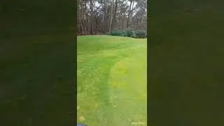 Fore Greens maaien.