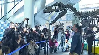 Gualicho, el nuevo dinosaurio carn&iacute;voro de la Patagonia