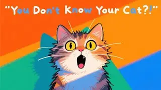 Lesser-Known Facts Every Cat Owner Must Know！