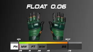 CSGO ★ Moto Gloves | Turtle - Skin wear/float