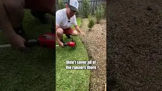 $99 Ozito Grass Trimmer kit vs Natural Curved Garden Edge.