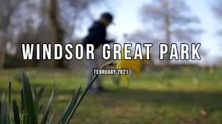 Windsor Great Park - The Savill Garden
