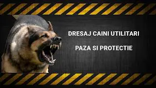 Dresaj Canin BRAVO - Paza si protectie