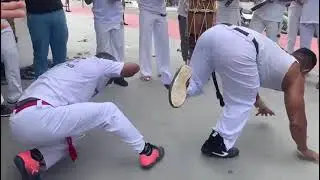 contrameste Peru vs Mestre Dimeno