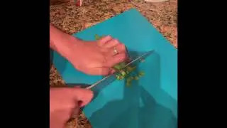 Rice Cake Soup - Ariana Hernandez