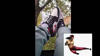 My Kicks Fly