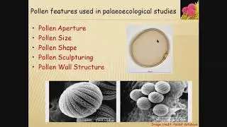 Pollen based quantitative reconstruction of past climate and vegetation by Dr. Jyoti Srivastava