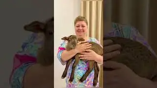 Two weeks of happiness in three minutes