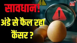 Health News : अंडे खाने से बढ़ रहा है कैंसर का खतरा? | Is eating eggs increasing the risk of cancer