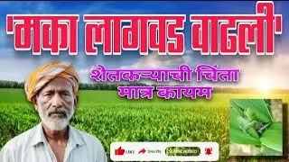 #R.Agritech Pvt.Ltd.@MAZOR@Result day 1 to day 5 Full update Mo.8830727306