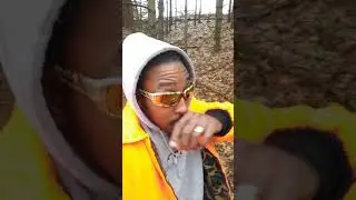 Michigan morel hunting 2020