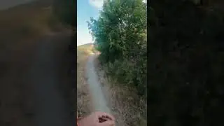 Cross country || first person running