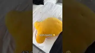 What Size Goldfish Do You Want?