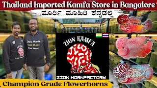 Thailand Imported Kamfa store in Bangalore 💥| Zion Horn factory | Champion grade Flowerhorns 🇫🇷🔥