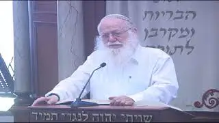 עניית אמנים, ברכו וברוך הוא וברוך שמו כראוי | הרב דב ביגון | פלא יועץ