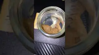 DANK CZAR LIVE ROSIN  ,KACHE , REZN ALL GAS NO BRAKES 2020