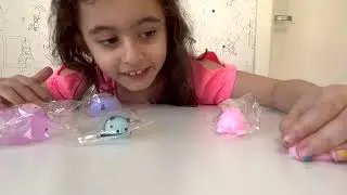 Squishy Fidget Toys - Bichinhos Macios para brincar e colecionar