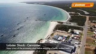 Pinnacles & Lobster Day Tour - Explore Tours Perth