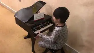 Hape Grand Piano