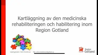 Kartl&auml;ggning av medicinsk rehabilitering och habilitering inom Region Gotland 2023/2024
