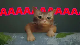 Эта История о том как КОТ ПОПАЛ В КАНАВУ (Stray)