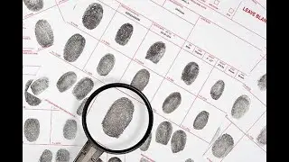 How to collect fingerprints at a crime scene 👮👮
