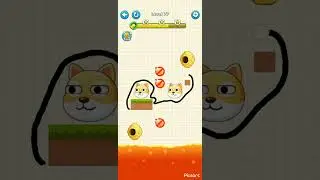 SAVE THE DOG LEVEL 77
