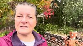 Soundbite #84 2025