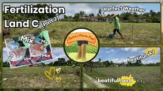 Fertilizing Land C Continued Under a Beautiful Sky | ✨🌽👨&zwj;🌾 #Fertilizing #landpreparation #memupuk