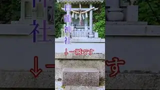 白龍神社の崇高神光#shorts  #龍神  #次元上昇