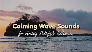 1 Hour Tropical Beach Waves | Anxiety Relief Nature Sounds