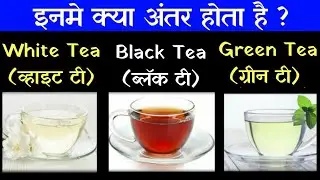 White Tea Vs Black Tea Vs Green Tea Vs Milk Tea Vs Herbal Tea Vs Oolong Tea Vs Rooibos Tea