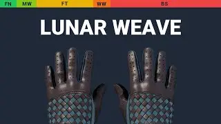 Driver Gloves Lunar Weave - Skin Float And Wear Preview