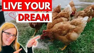 If I Was Starting A Hobby Farm In 2024, This Is I&rsquo;d Do  (Full Guide)