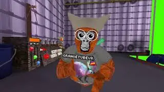 Staying up late to play Gorillatag
