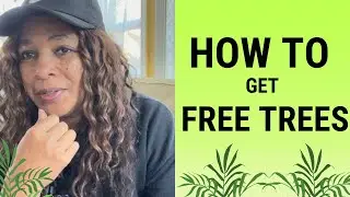 How to get free trees