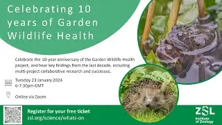 Celebrating 10 years of Garden Wildlife Health