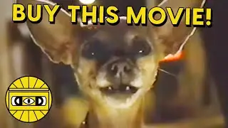 BUY THIS MOVIE!   ///   EVERYTHING IS TERRIBLE!